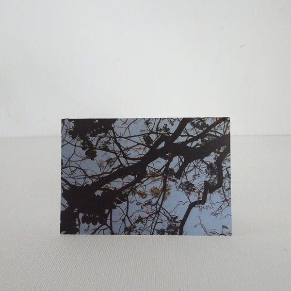 Twisted Tree Card-C